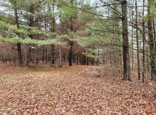 E5510 Swan Rd, Manawa, WI 54949