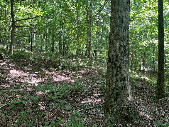 3rd image of Round Hill Rd Lot Wp001