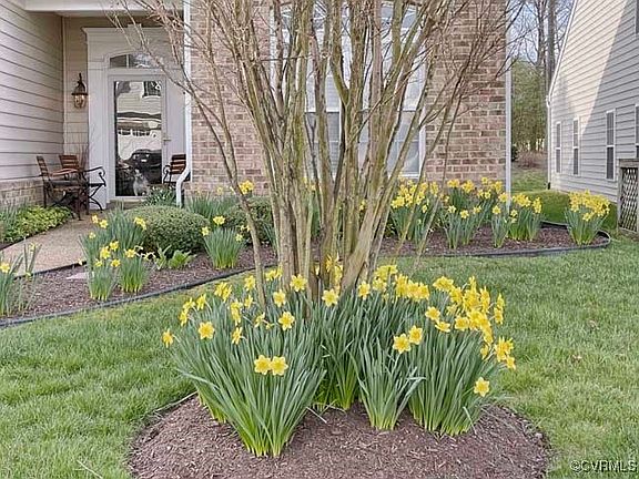 2nd image of 5839 Yellow Jasmine Ter