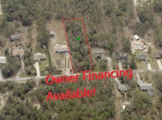 1634 E Cleveland St, Hernando, FL 34442