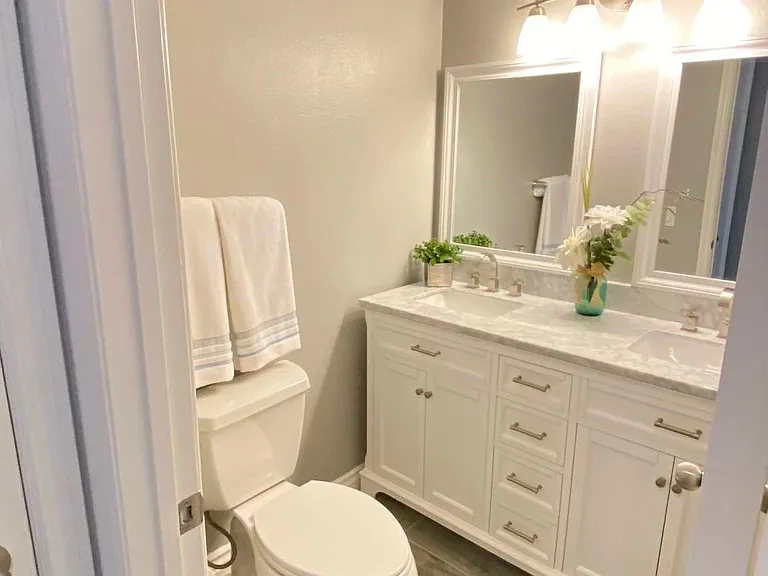 938 Cone Flower Ln — Photo 8
