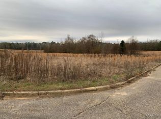 201 S Park Pl, Selma, AL 36701