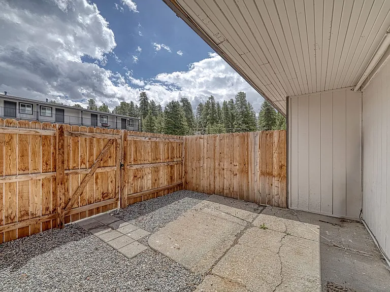 921 Mount Massive Dr — Photo 18