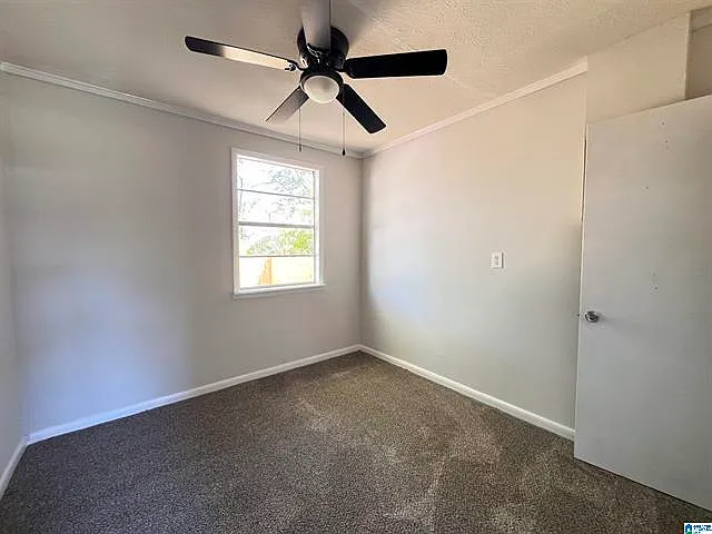 246 Gann Rd — Photo 11