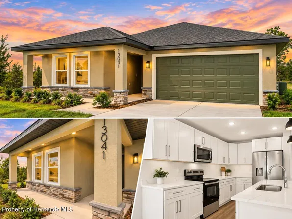13041 Scissorbill Ave, Weeki Wachee, FL 34614