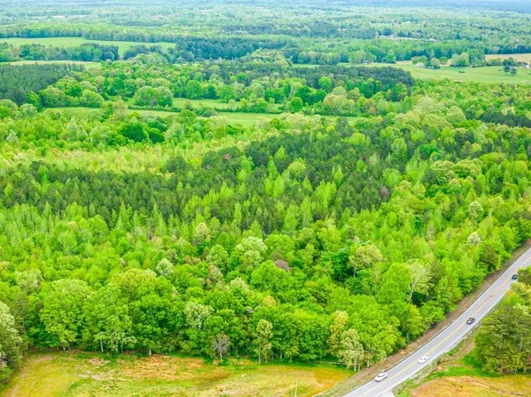 TRACT 7 Highway 20, Waterloo, AL 35677