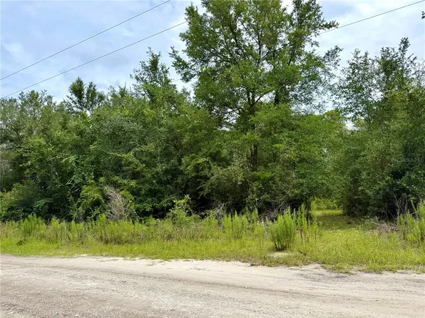 12790 NE 78th Ter, Bronson, FL 32621
