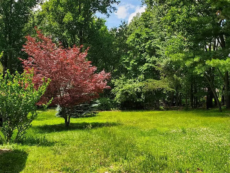 4603 Spruce Rd — Photo 31
