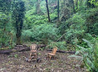 T/l 131031 Risley Creek Rd, Tidewater, OR 97390