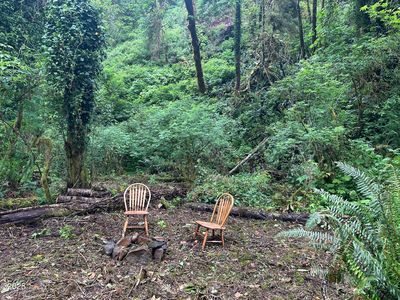 T/l 131031 Risley Creek Rd, Tidewater, OR, 97390