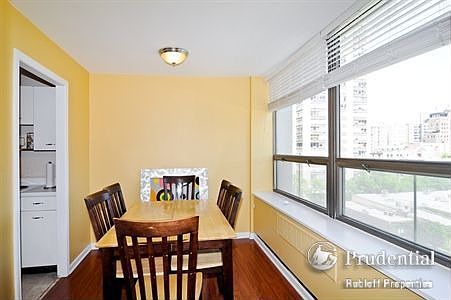5th image of 1455 N Sandburg Ter APT 706