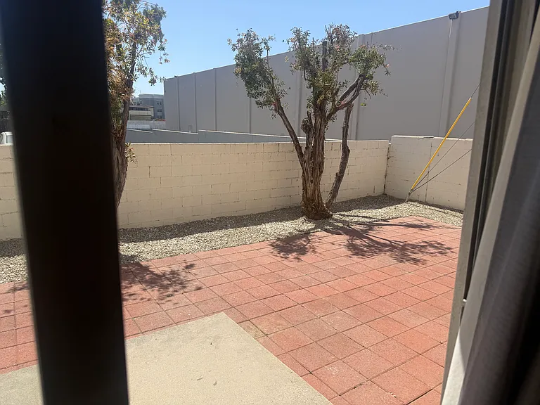 1014 Buena Vista St #5 — Photo 2