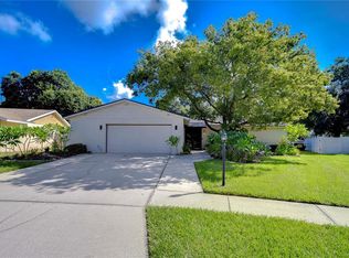 4008 Greenmark Ln, Valrico, FL 33596