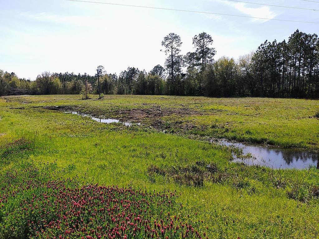 0 State Highway 84 E, Jakin, GA 39861 MLS 12075 Zillow