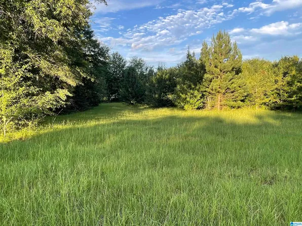 County Road 61 N #1, Wilsonville, AL 35186