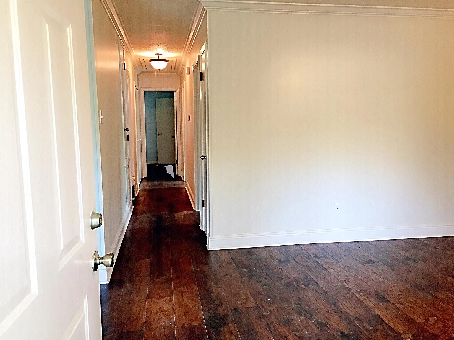 161 Castor Plunge Rd — Photo 3