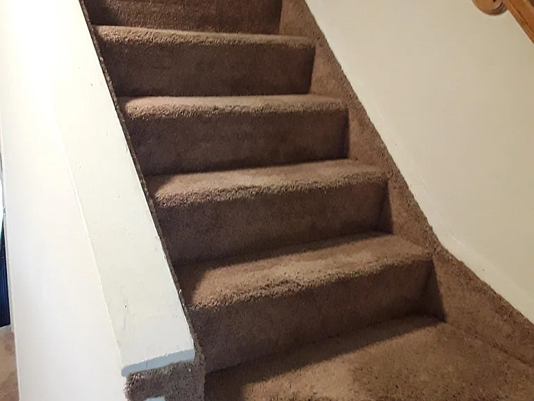 31 Beaver Oak Ct — Photo 18