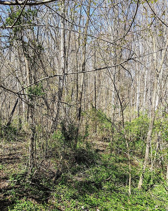 2nd image of 2 Kimberly Ann Ct