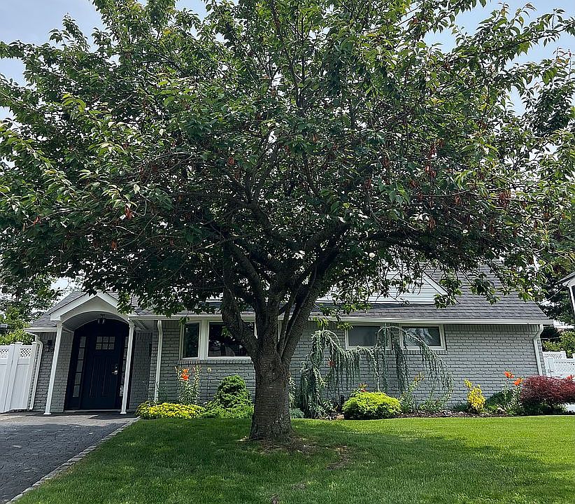 1st image of 25 Fawn Ln