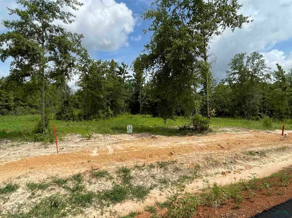 County Road 2160 Phase 2 #D, Tatum, TX 75691