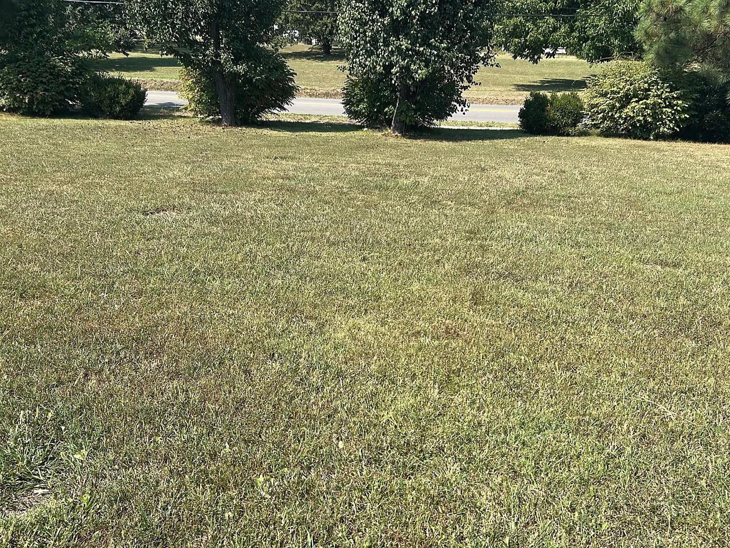 3 bed, 1324 sqft, $1,300 — Photo 3