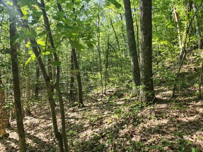 0 Tower Hill Road, Candia, NH, 03034