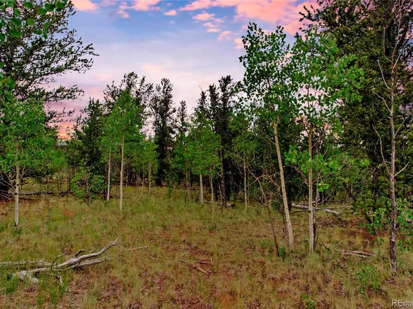 545 Buffalo Ridge Road LOT 290, Como, CO 80432