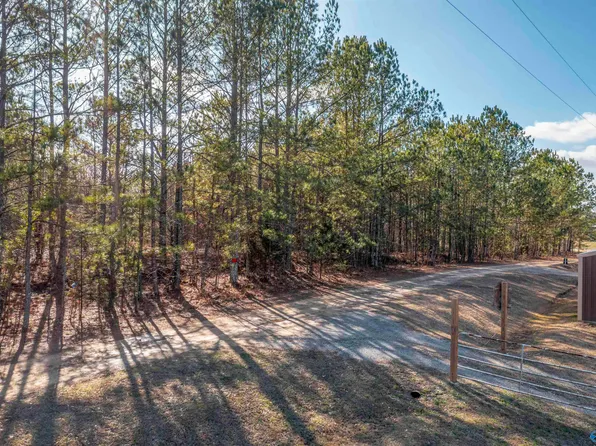 10 & 11 County Road 914, Centre, AL 35960