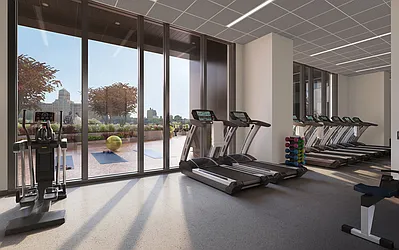 Rented by Gotham Organization