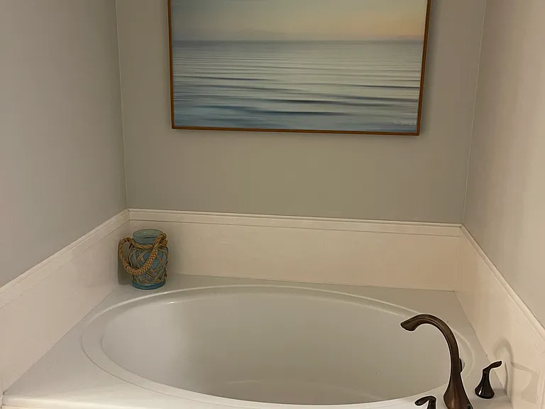 Primary bathroom tub