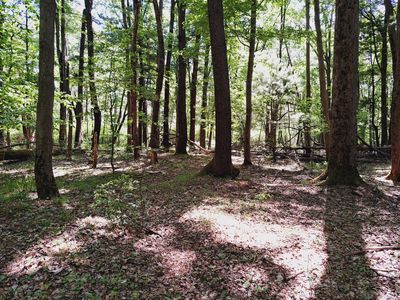 E Brandywine Dr, Gobles, MI, 49055