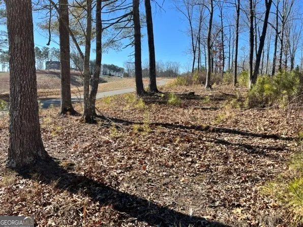 LOT 5 High River Rd, Ellijay, GA 30540