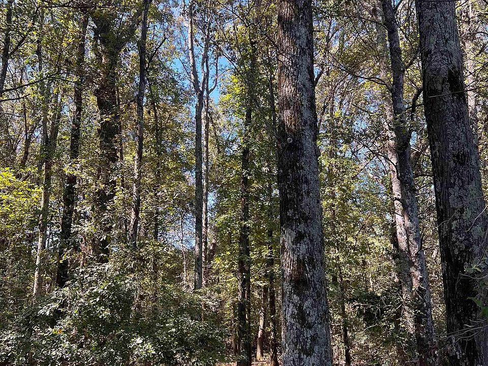0 Highway 38, Hickory Plains, AR 72066 MLS 23032726 Zillow