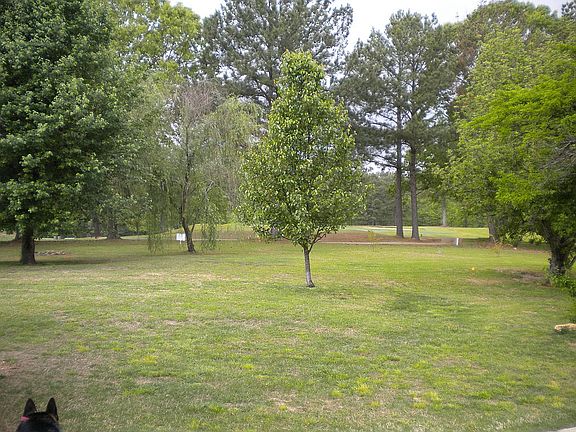 Golf course view 