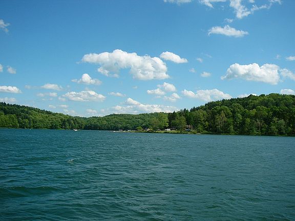 Leesville Lake
