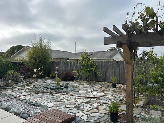Back yard