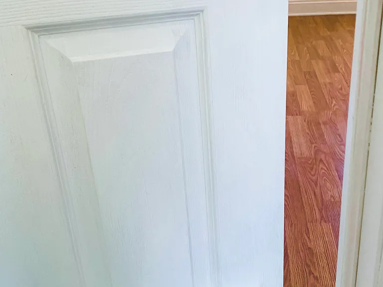 Dog door to mirror bedroom
