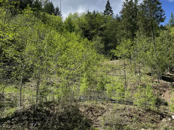 L11-B1 Midas Dr, Sagle, ID 83860