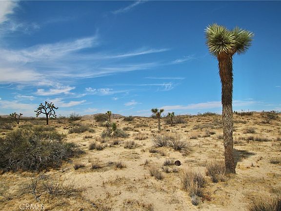 4th image of 0 Pine St