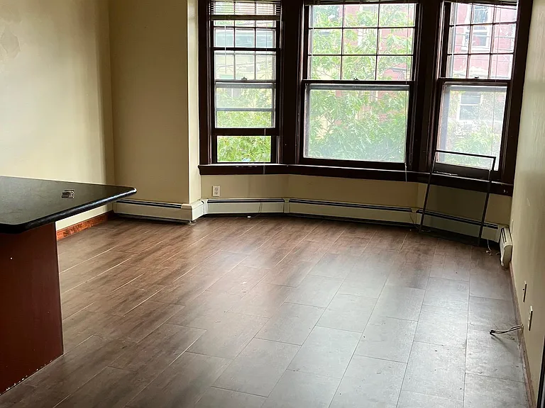 217-19 Lark St #7 — Photo 4