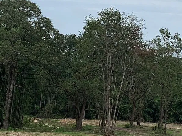 48 Crazy Tree Dr, Carriere, MS 39426
