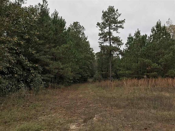 2nd image of 550 County Road 440