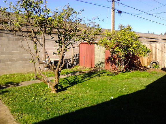 4th image of 2026 Buckingham Dr