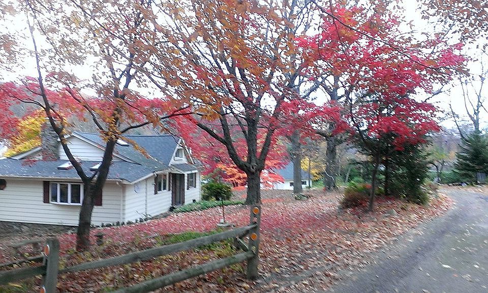 2nd image of 24 Upsala Path