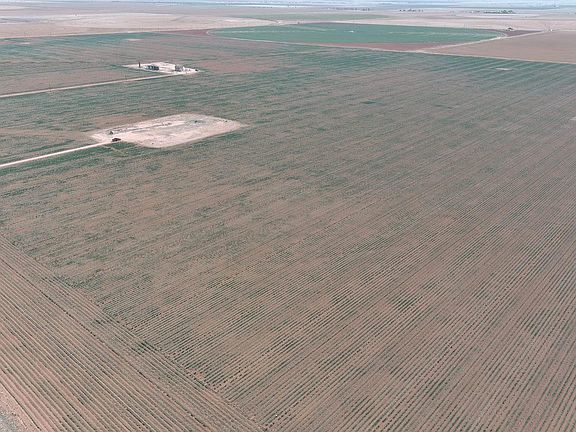 2nd image of 0 Onion Shed