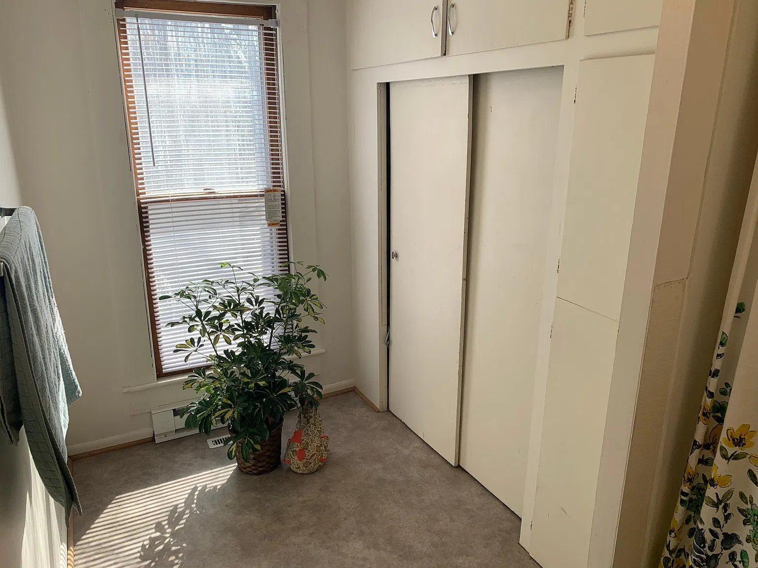2 bed, 1.5 bath, 600 sqft, $800 — Photo 4