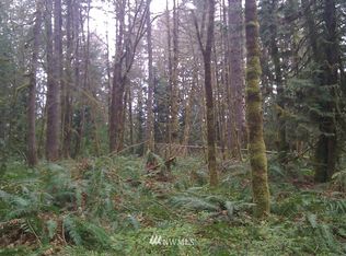 0 Frank Smith Rd, Toutle, WA 98649