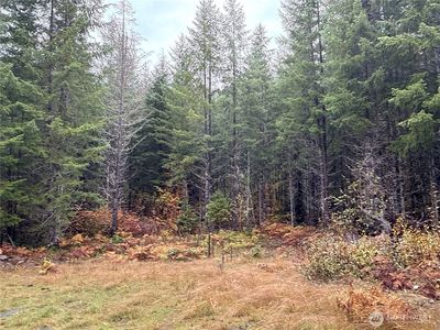 4 XX Forest Road 52, Kennewick, WA, 99338