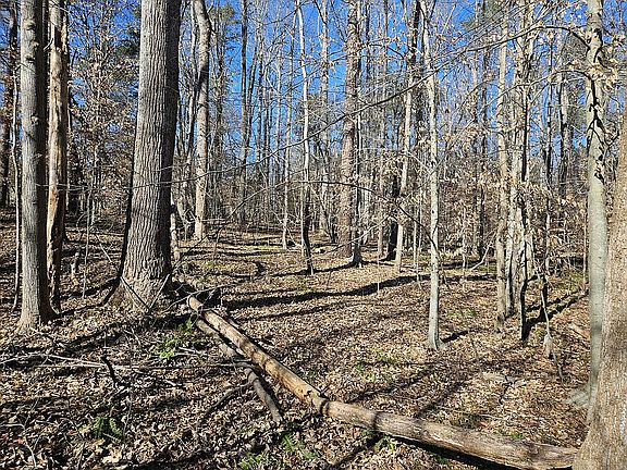 5th image of 0 N State Highway 119 Hwy Lot 0