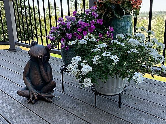 Our deck on the north